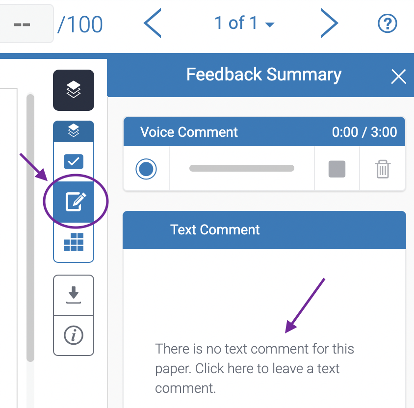 Screenshot highlighting the Text Comment box in a Turnitin submission