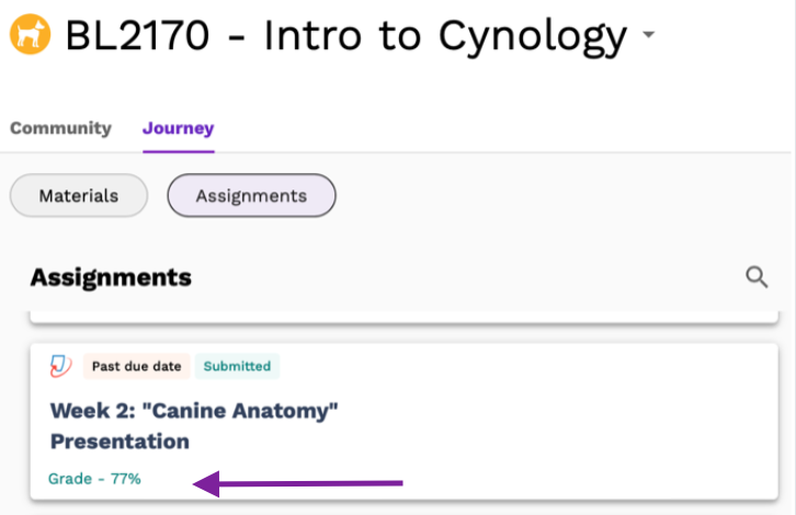 Screenshot highlighting the grade in an assignment link