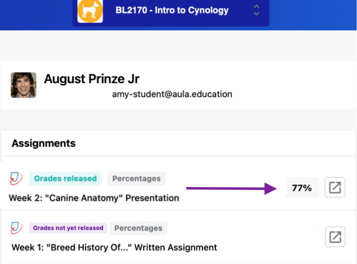 Screenshot of the grades in the Student Success App