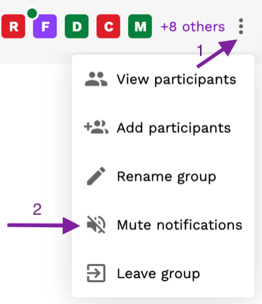 Screenshot highlighting the Mute Notifications button in a Message