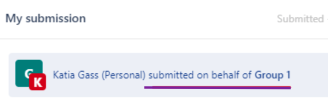 Screenshot of a label that says a student submitted on behalf of Group 1