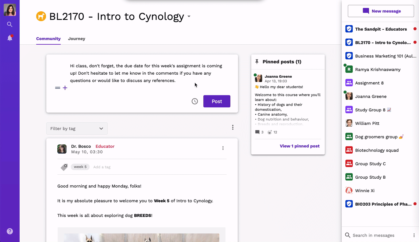 GIF showing how to select a Handin block for a post