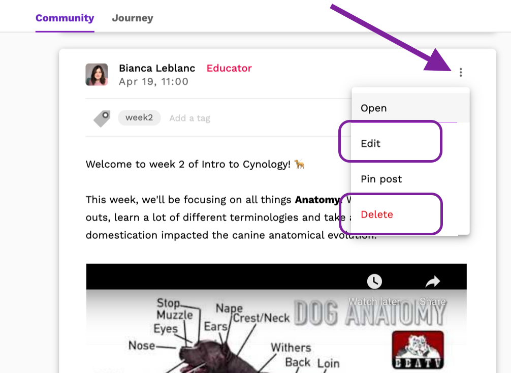Screenshot highlighting the Edit and Delete options in a post