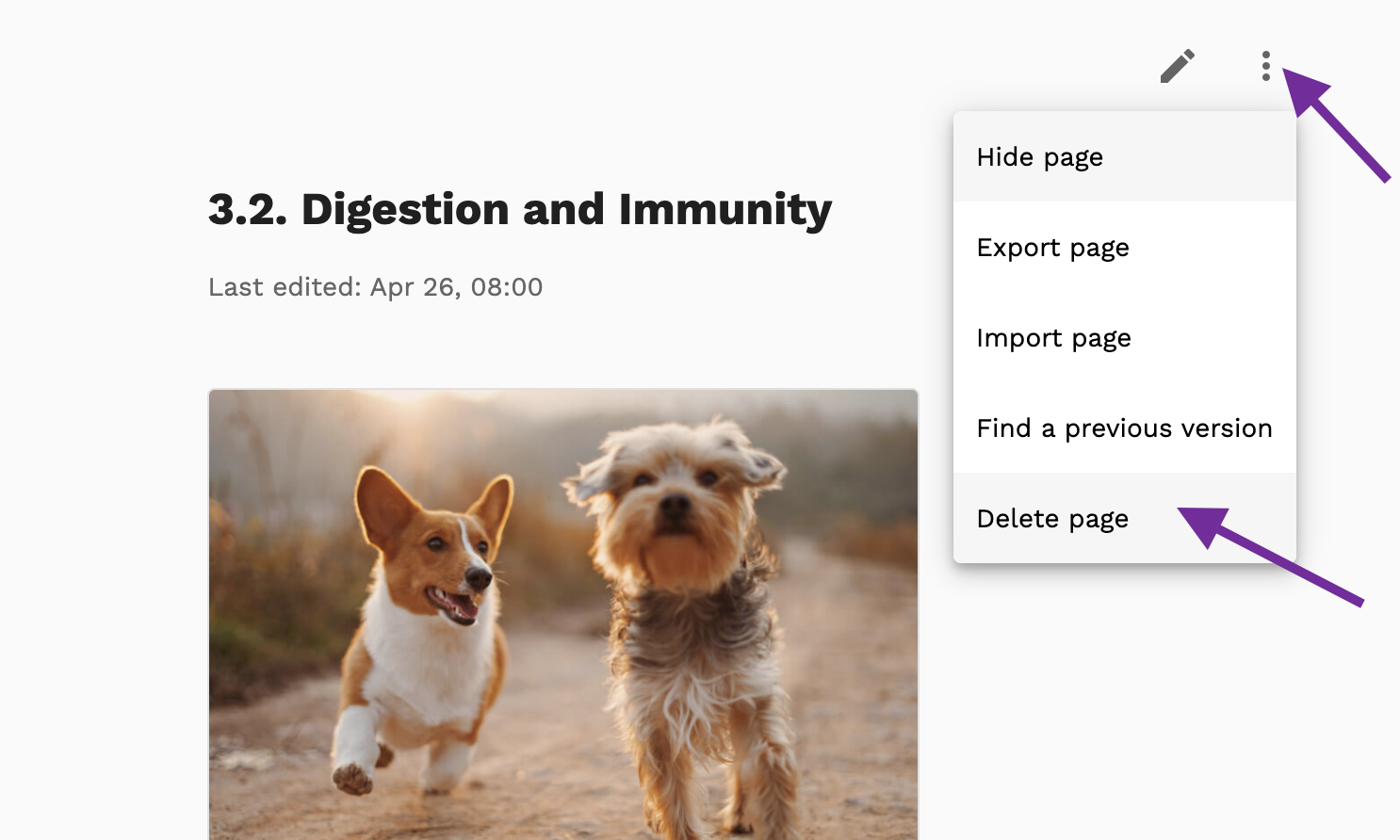 Screenshot highlighting the 3-dots icon and the Delete Page option