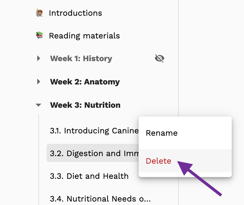 Screenshot highlighting the Delete option