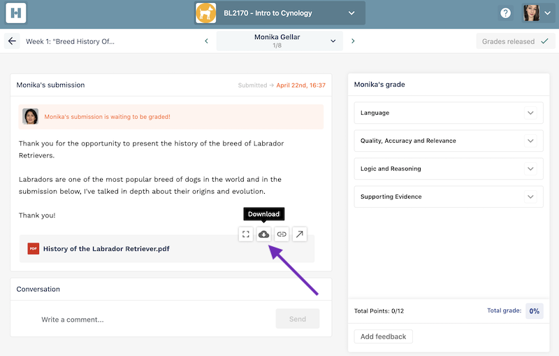 Screenshot highlighting the download button in a Handin submission