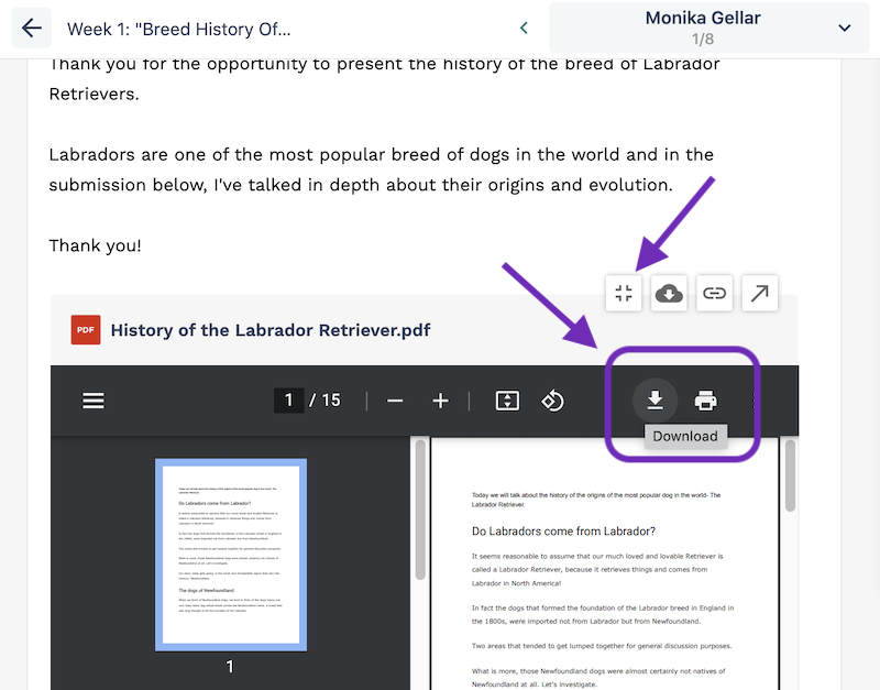 Screenshot highlighting the Expand button in Handin submission