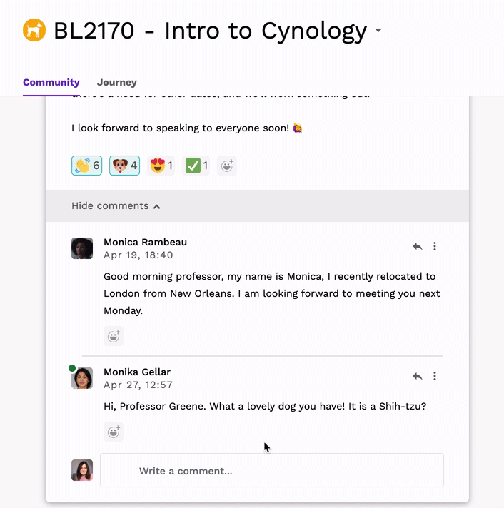GIF showing how to respond to a comment