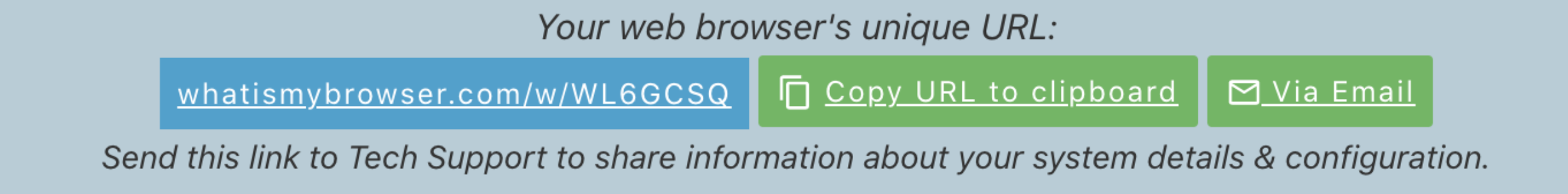 Screenshot of an example browser information